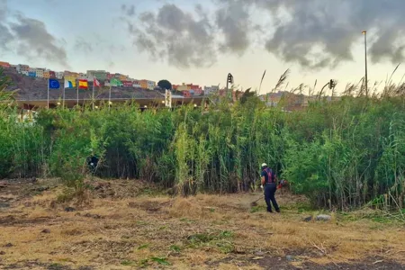 La Gomera avanza en la adecuación de cauces y limpieza de infraestructuras hidráulicas